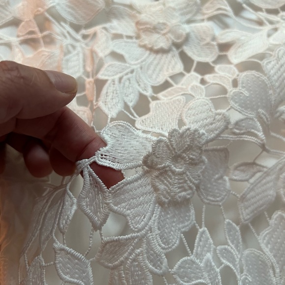 Virgin White Lace Appliqué Dress - Picture 2 of 16